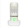 For Ultrasonic Fruit Vegetable Washing Machine Capsule Wireless Food Cleaner Suitable Outdoor Picnic Fruit Food Purifier