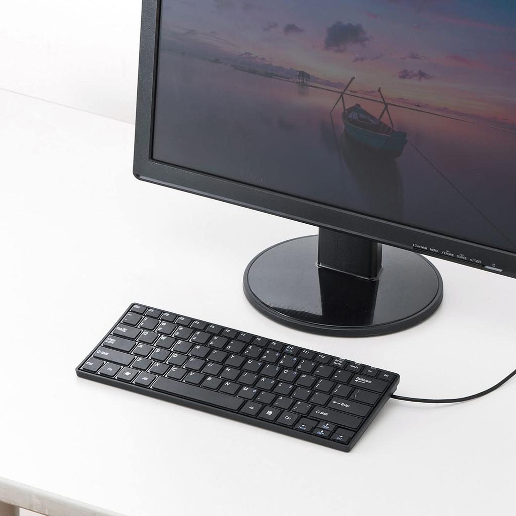 Sanwa Supply SKB-E3UN English Layout USB Slim Keyboard (Black)