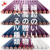 Success Prayer Pentagonal Pencil Set HB - 12pcs Made by Mitsubishi Pencil