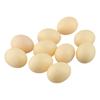 DIY Easter Eggs Fake Chicken Eggs Poultry Education DIY Easter Projects Smooth Edges Educational Purposes High Quality Plastic