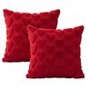 Valentines Day Throw Pillow Covers Cute 18x18 Inch Set of 2 Cushion Covers for March Holiday Home Outdoor Decor