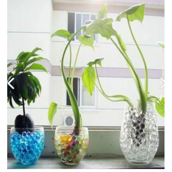 1200 Pieces 9-11 Mm Crystal Beads Balls Soilless Cultivation Transparent