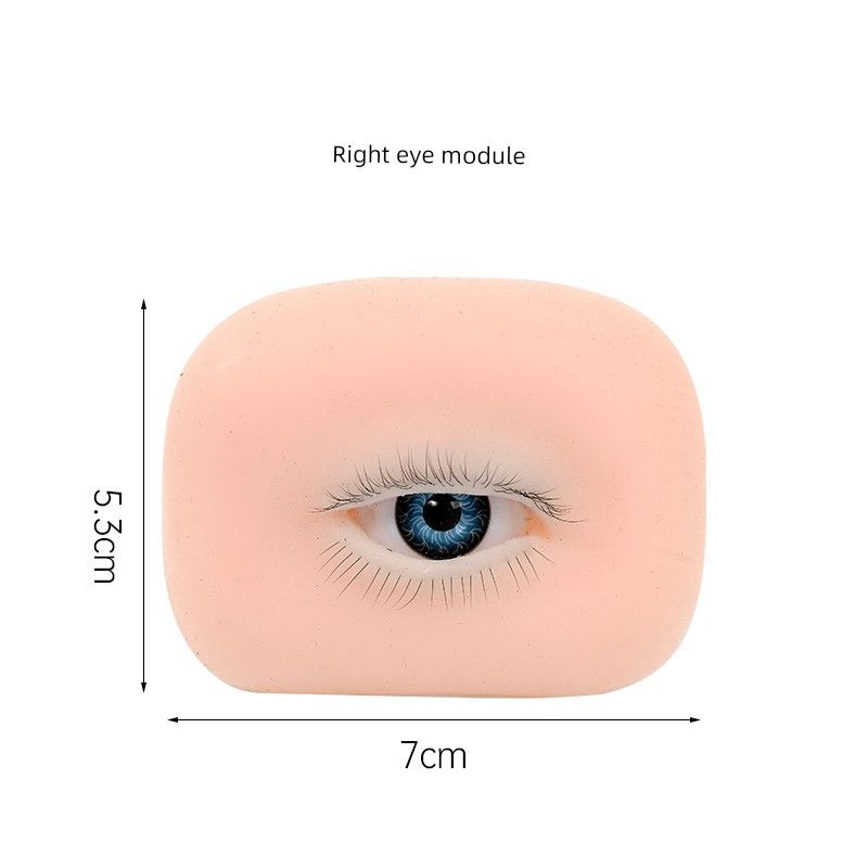 Eyelash Practice Module, a Specialized Simulation Practice Tool for Beginner Eyelash Technicians, Including Eyelash and Eyebrow Tattoo Practice Film