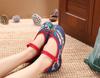 Caifeng Women's Embroidered Cloth Dance Shoes with Soft Cowhide Sole for Hanfu