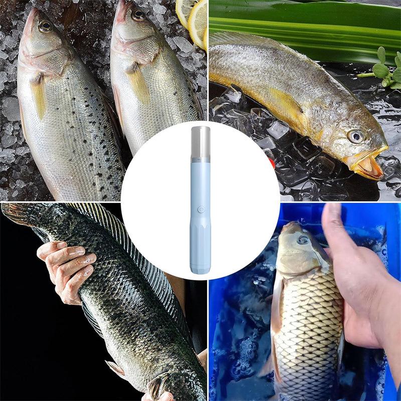 Electric Fish Scaler and Remover Tool for Home Use