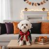 Stand Collar Dog Halloween Cape Open Chest Cat Wizard Robe Pet Bat Cloak  Dog Clothing