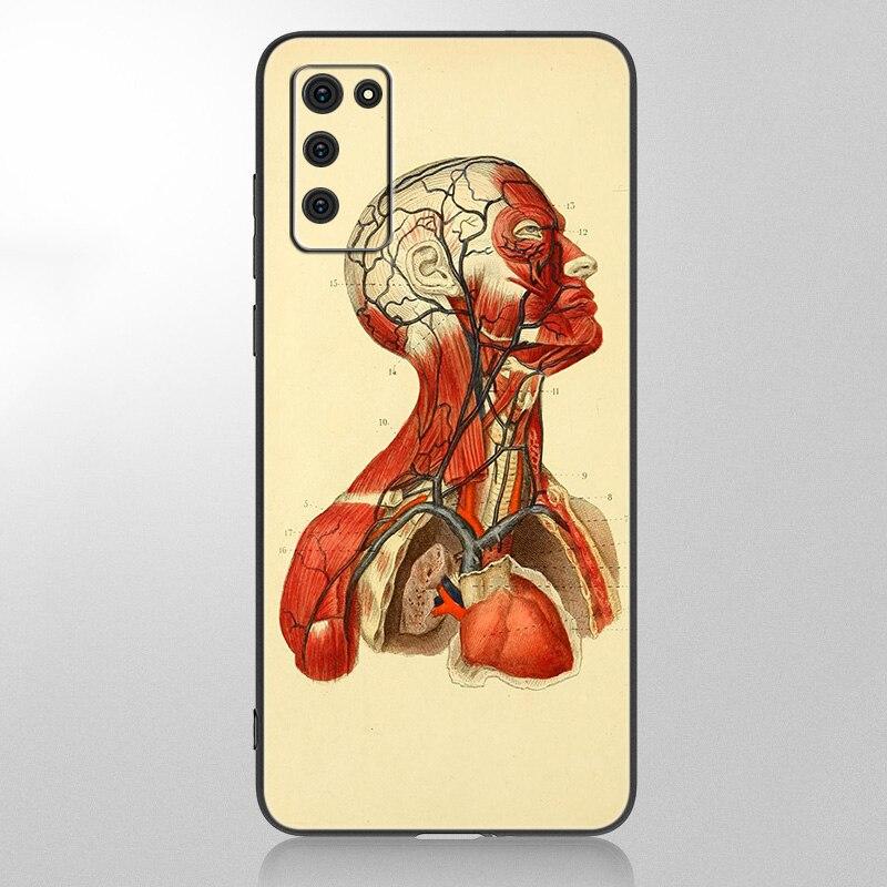 Medical Human Organs Brain Meridian Kidney High Case For Samsung Galaxy A12 A02S A22 A32 A52 A72 A71 A51 A41 A31 A21 A11 A50 A70
