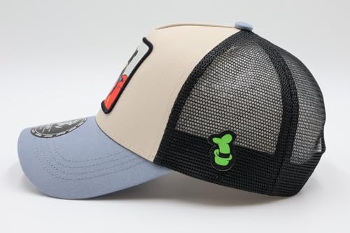 Disney Patch Mesh Cap DSC-MCP01