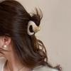 Luxurious Acetate Material Hairpin Hair Accessories For Women