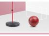 Adjustable Indoor Basketball Hoop with 6 Balls for Kids Ages 3-9
