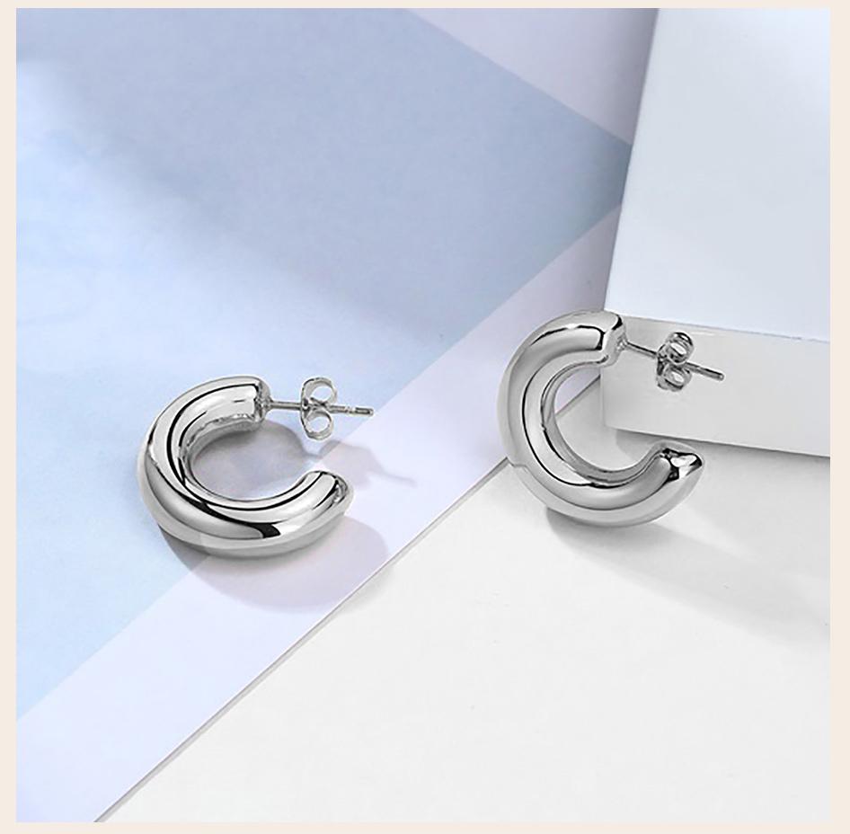 Hollow Tube Hoop Earring for Women, Stainless Steel Medium Bold Tarnish Free Minimalist 2022 Brincos