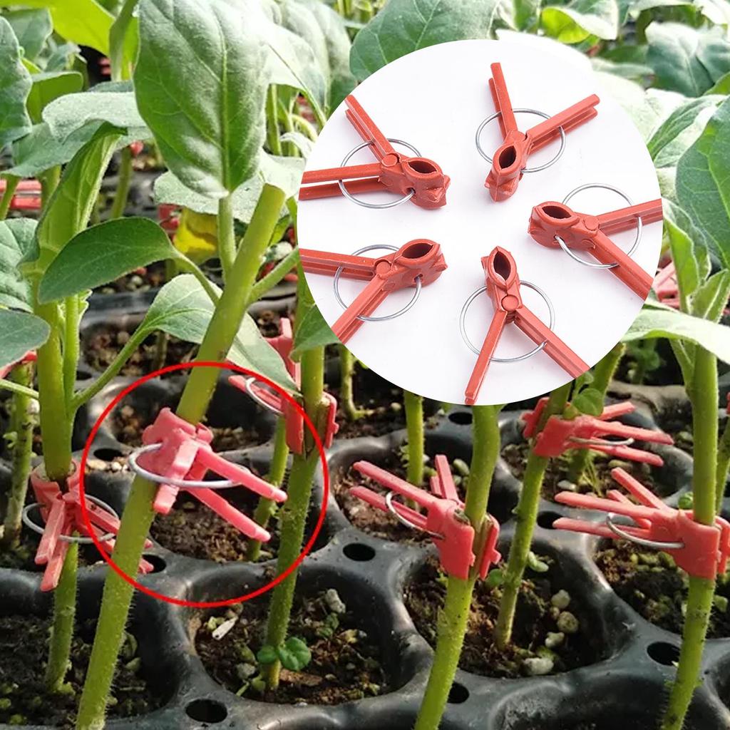50PCS Plant Grafting Clip Plastic Gardening Tool For Cucumber Eggplant Watermelon Round Mouth Flat Mouth Anti Fall Clamps