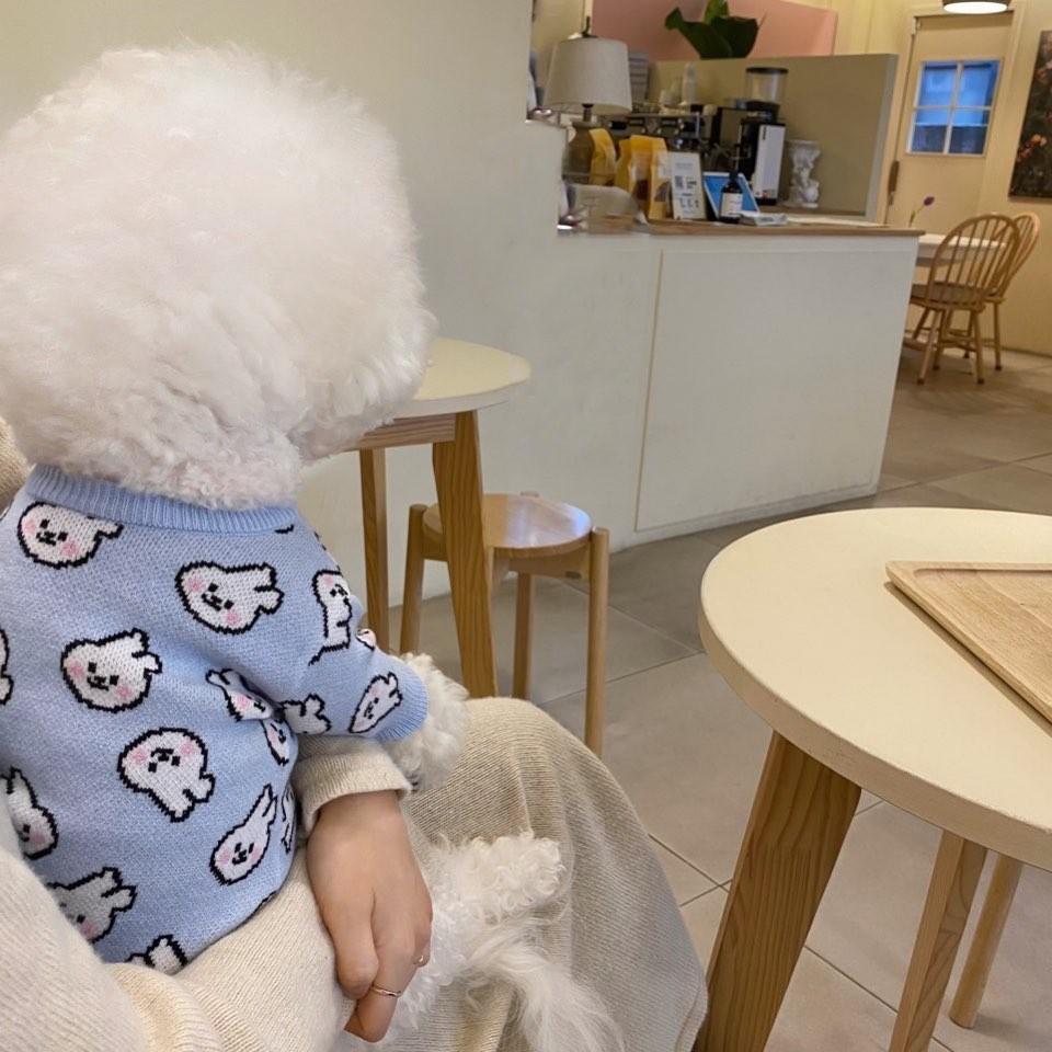 

Зимняя Теплая Милая Синий Кролик Одежда для Питомца Собаки Теплый Свитер Тедди Вязаная Рубашка Одежда для Собаки на Двух Лапах Товары для Питомца XS-XL XL синий