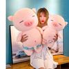 Soft And Squishy Plush Pig Toy Perfect Beach Companion For Girls Funny Gift Idea