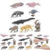 Crocodile Dolphin South American Animal Model Set Wildlife Display For Educational Use
