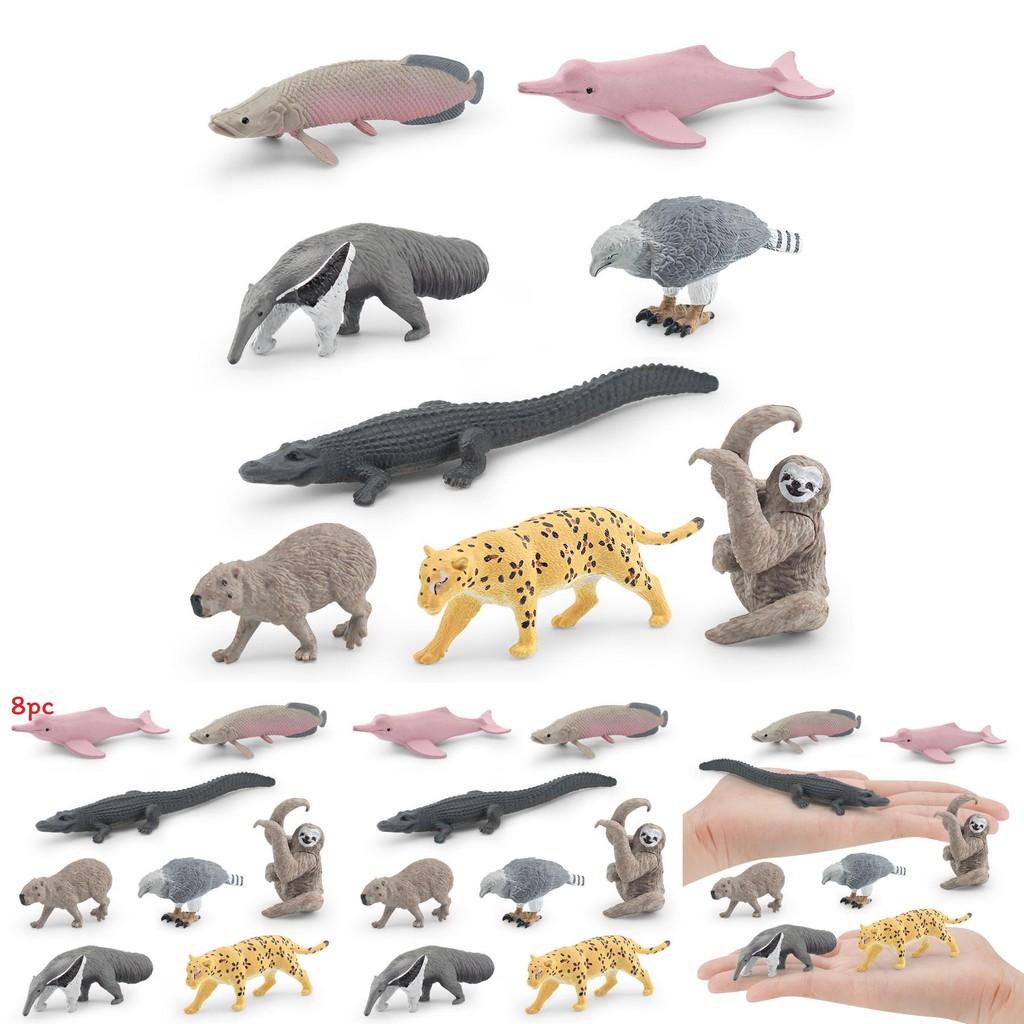 Crocodile Dolphin South American Animal Model Set Wildlife Display For Educational Use