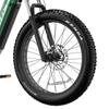DUOTTS E26 Fat Tire Electric Bike - 750W Motor, 48V 20Ah Battery, 26"×4.0 Tires, 120KM Range,