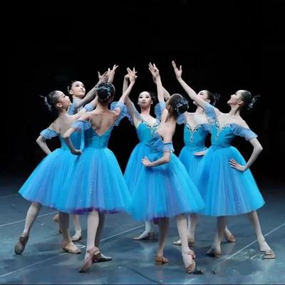 Long Romantic Ballet Tutu Blue Ballet Dress Performance Clothes Swan Lake Ballerine Women Fairy Costume