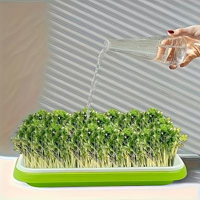 Bean Sprout Germination Tray, Sprout Seedling Cultivation Tray, Hydroponic Vegetable Cultivation Equipment (including Grid+base)