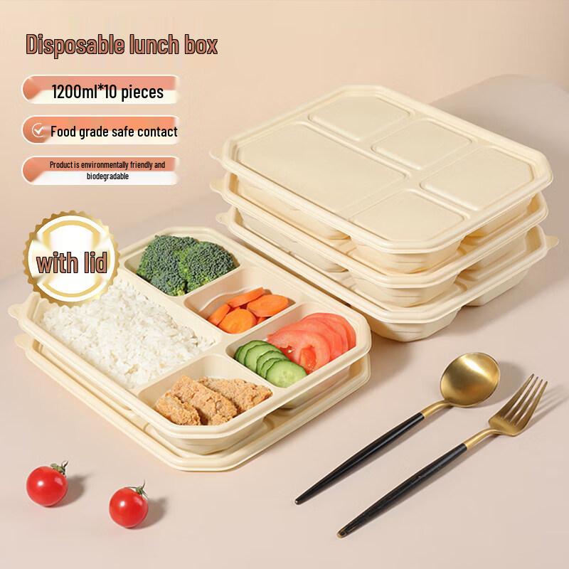 ZISIZ Disposable Paper Lunch Box