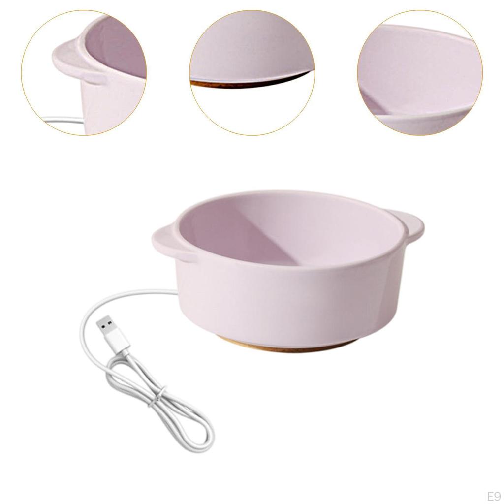 Pet Heated Bowl Ceramic Waterer Elevated Cat Dog Feeding for Winter
