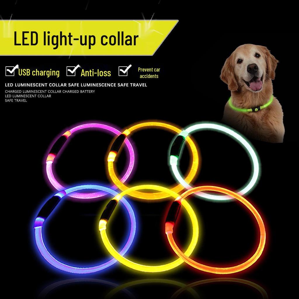 Helle Transparente PU Leuchtendes Hundehalsband für die Nacht