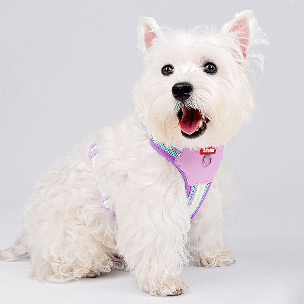 Adjustable Dog Harness and Leash Set Padded Dog Collars Leash Set Pet Walking Vest All Seasons