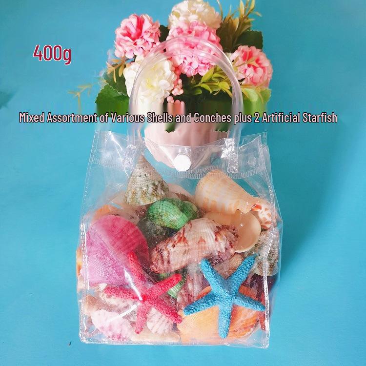 Conch Shells & Starfish for Hermit Crabs: Aquarium Decor & Drift Bottle Accessories