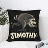 Protect Jimothy Raccoon Square Pillow Case Polyester Decorative Pillow  Customized Pillowcover Home Decor