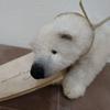 [USED] Teddy bear (polar bear) by Japanese artist