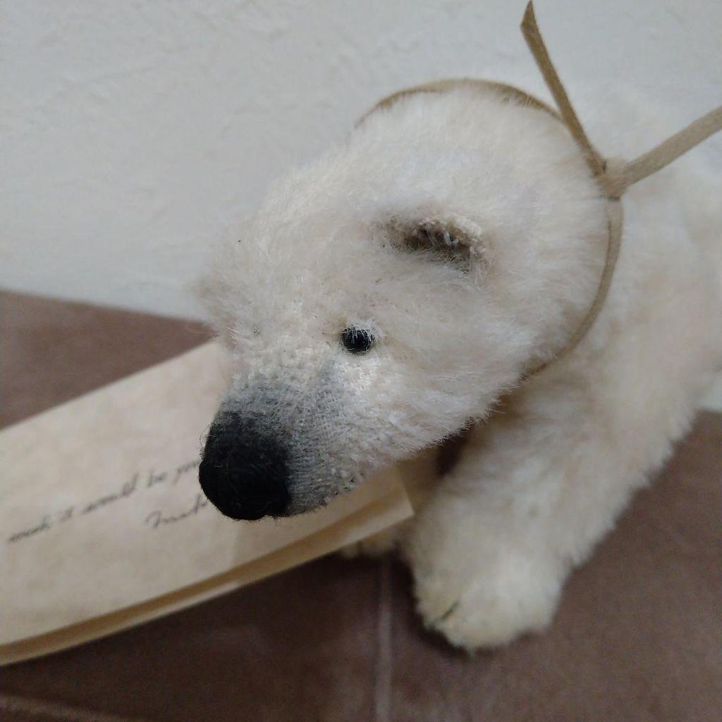 [USED] Teddy bear (polar bear) by Japanese artist