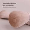Tao Yao Anfänger Make-up Pinsel Set: Augen, Rouge, Kontur, Verblenden, Nase und Concealer Pinsel
