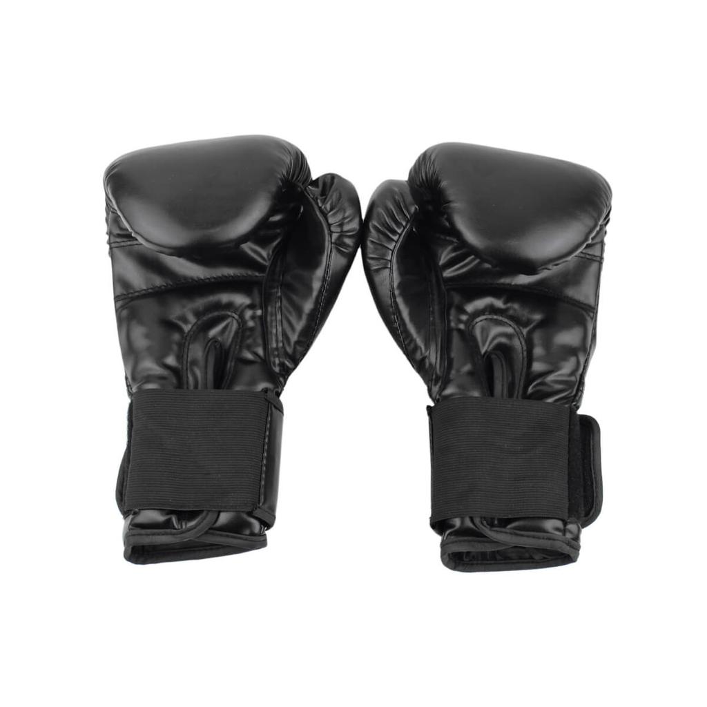 TG10 MASTER 10 OZ Boxing Gloves