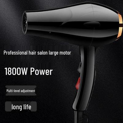 LISM High-Power Negative Ion Hair Dryer