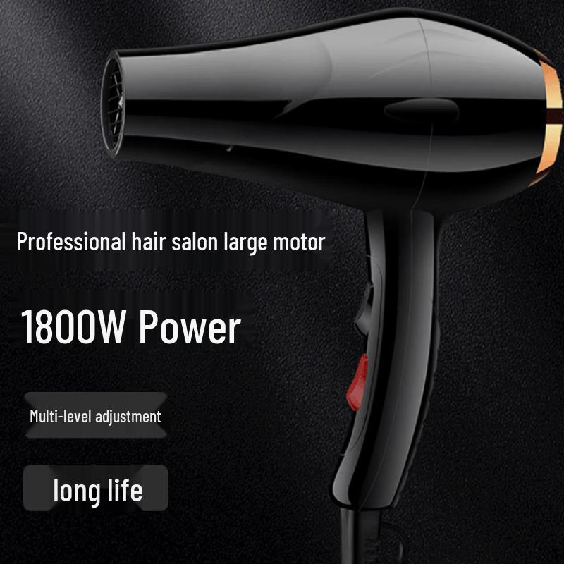 LISM High-Power Negative Ion Hair Dryer