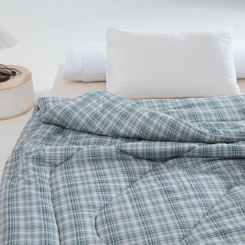 Muji Washable Mulberry Silk & Feather Cotton Protein Winter Quilt