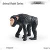 Giocattolo modello zoo in piedi di scimpanzé e gorilla