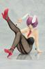 Rare Selection 2010 Winter Illustrated by Kohaku Sumeragi Minori Aiba scale PVC painted finished figure V.I.P 1/7