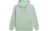 Li Ning Sweatshirt Fall Unisex Green AWDS657-2