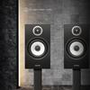 Youtang T118Pro HIFI Bookshelf Speaker (CN version)