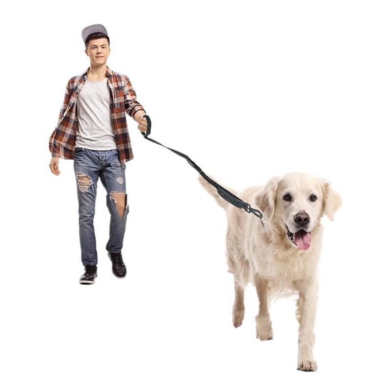 Reflective Pet Car Safety Leash 2.5cm x 150cm
