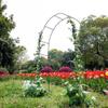 Iron Arch Climbing Frame for Wedding Garden or Courtyard Decor