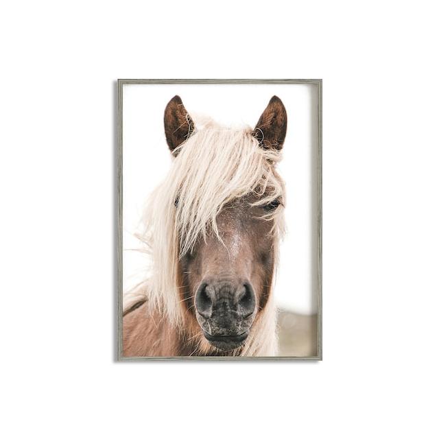 Horse Poster Print Modern Horses In The Field Wall Art HD Picture Canvas Painting Living Room Mural Home Decoration Gift Cuadros
