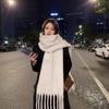 New Mohair Solid Color Scarf Women's Winter Warm Scarf Macaron Color Thickened Thick Braid Tassel Shawl