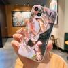 Comic Man Erha and His White Cat Master Transparent Phone Case For iPhone 15 16 14 13 12 11 Pro Max XS X XR SE 7 8 Plus Cover
