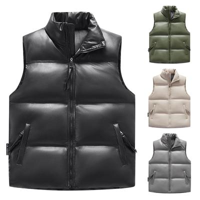 Winter Clean Standing Collar, Down Cotton Camisole, Slim Fitting And Handsome Young Man