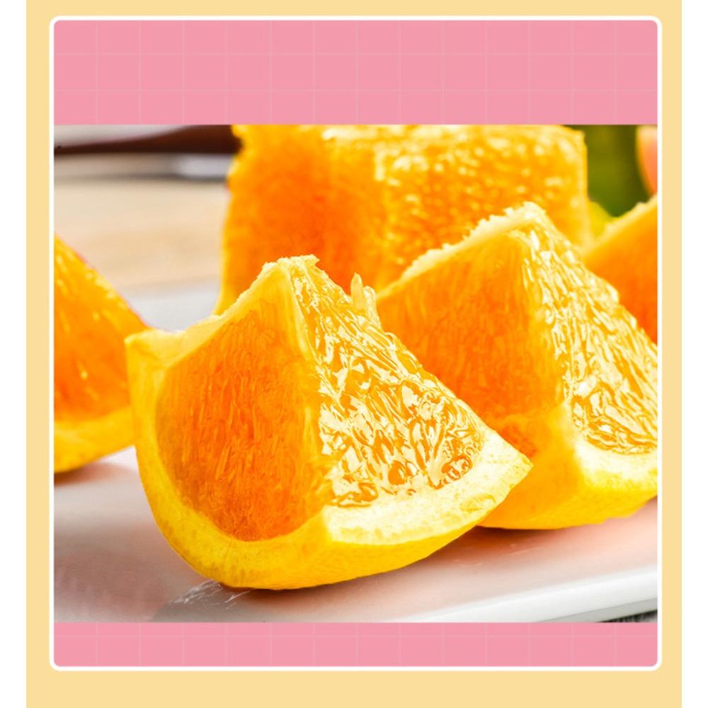 Honig Pomelo Tee 420g Bio Kräuter Energie-Booster Loser Tee