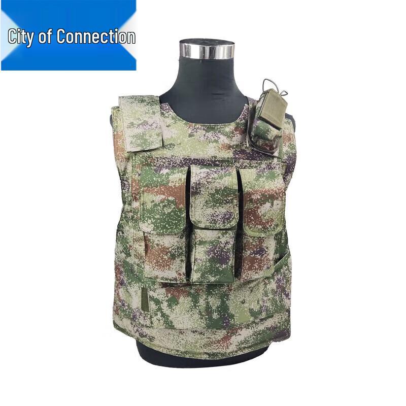

Lian Zhicheng Tactical Protective Vest