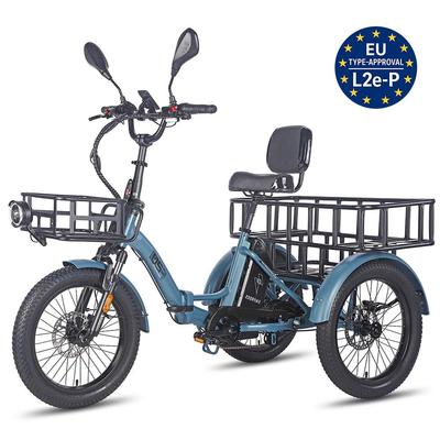 Electric Freight Bike Fafrees F20 Mate 750W Peak Motor 20" Fat Tire 48V 23.45AH Hydraulic Disc Brakes Max Load 180Kg LCD Display