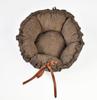 Daisy Bed Brown + Brown Structure 65